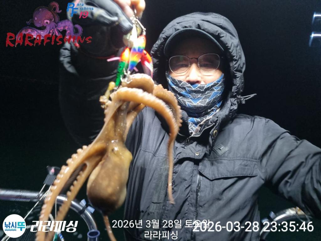 낚시뚜,낙지,돌문어,속천항(진해),라라피싱,낚시뚜0