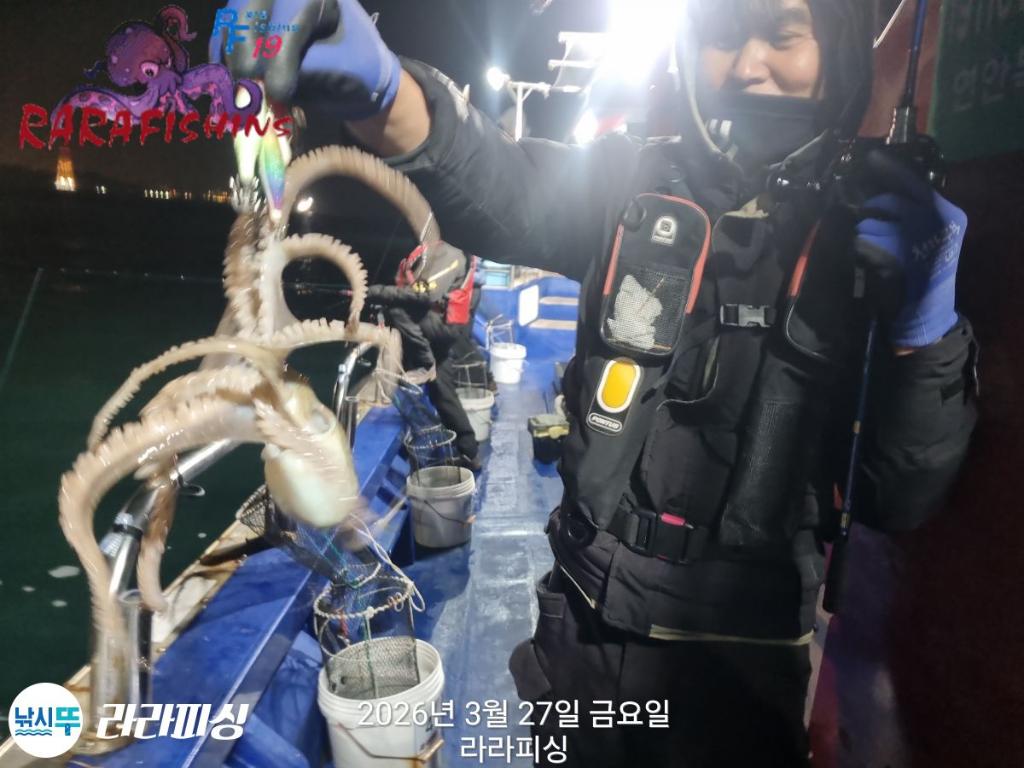 낚시뚜,낙지,속천항(진해),라라피싱,낚시뚜2