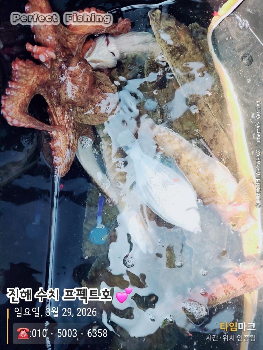 낚시뚜,도다리,진해 수치마을 방파제,퍼펙트호,낚시뚜1