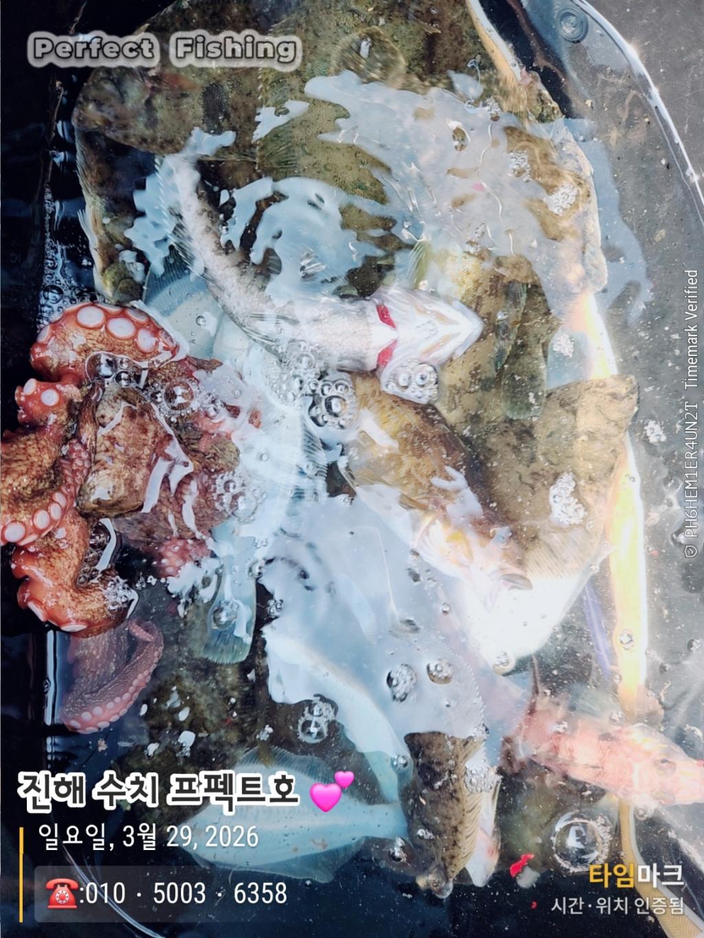 낚시뚜,도다리,진해 수치마을 방파제,퍼펙트호,낚시뚜2