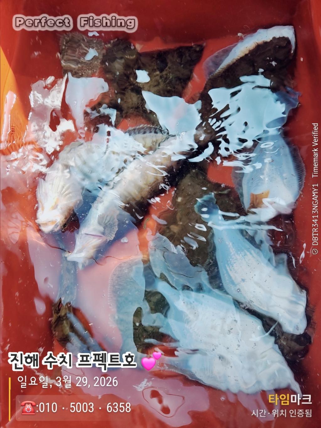낚시뚜,도다리,진해 수치마을 방파제,퍼펙트호,낚시뚜5