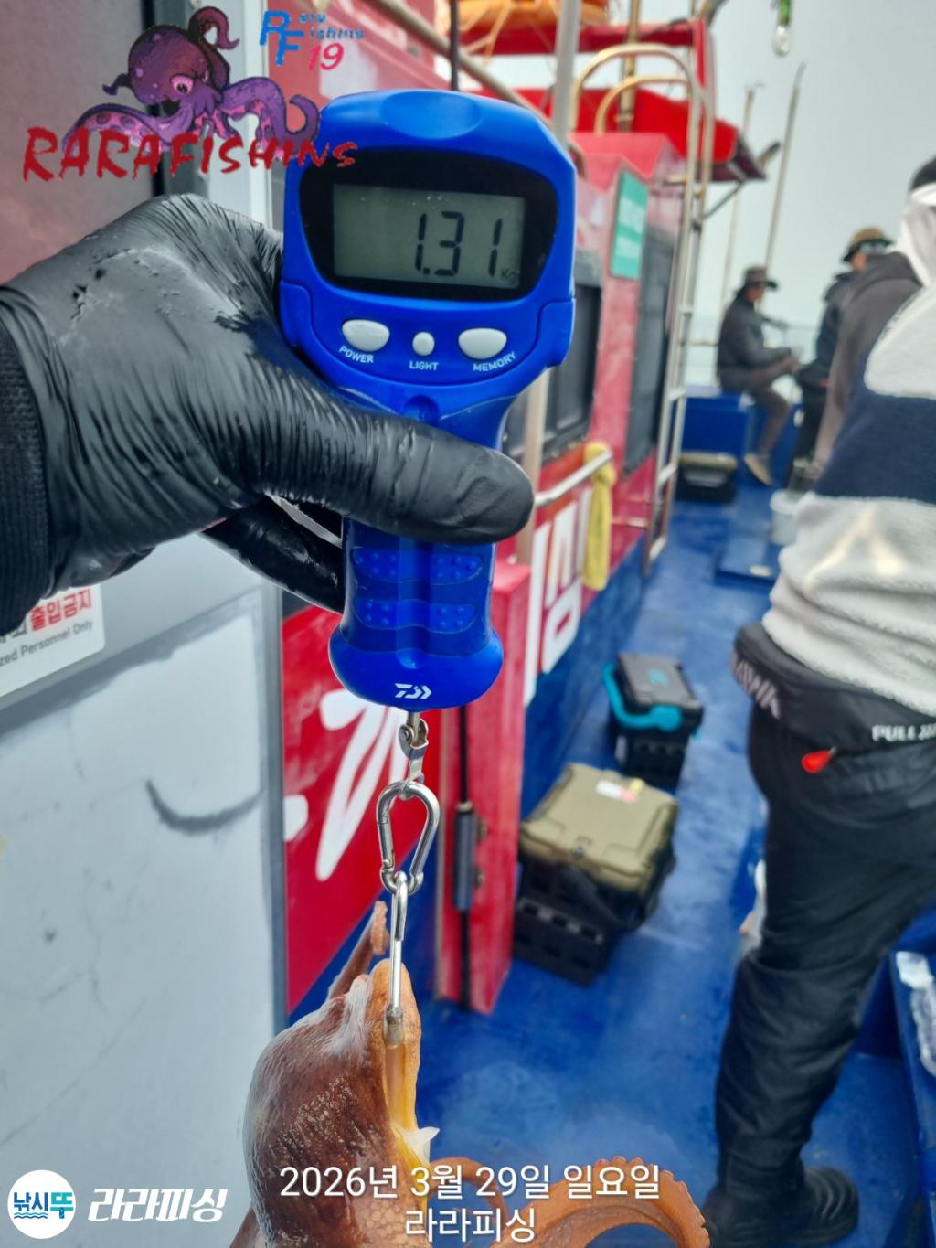 낚시뚜,낙지,돌문어,속천항(진해),라라피싱,낚시뚜29