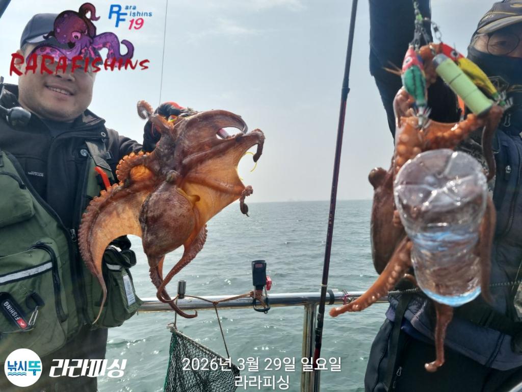 낚시뚜,낙지,돌문어,속천항(진해),라라피싱,낚시뚜27