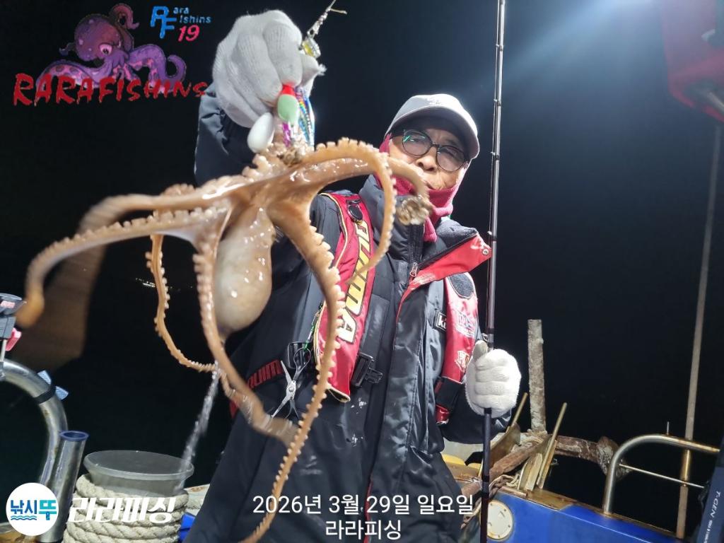 낚시뚜,낙지,돌문어,속천항(진해),라라피싱,낚시뚜9