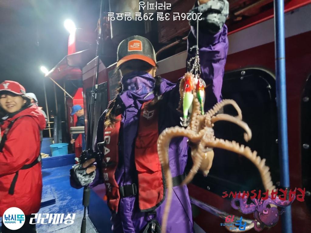 낚시뚜,낙지,돌문어,속천항(진해),라라피싱,낚시뚜7