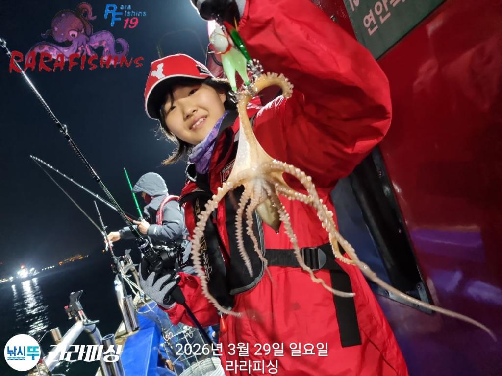 낚시뚜,낙지,돌문어,속천항(진해),라라피싱,낚시뚜3