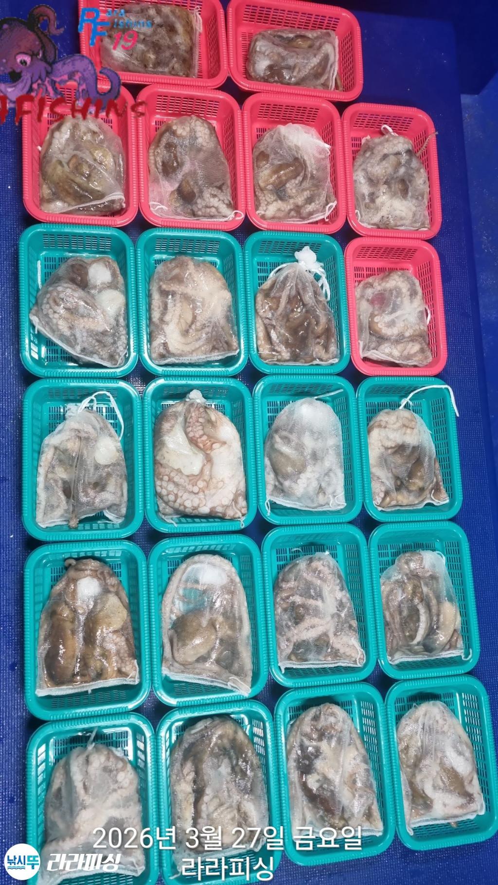 낚시뚜,낙지,속천항(진해),라라피싱,낚시뚜12