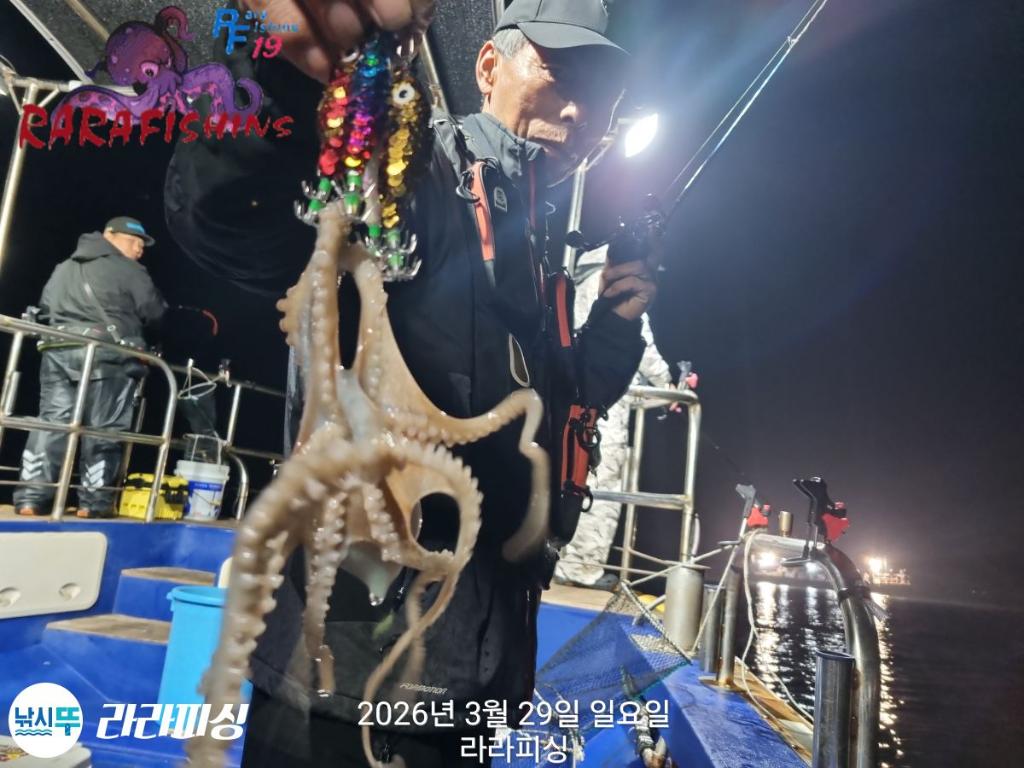 낚시뚜,낙지,속천항(진해),라라피싱,낚시뚜7