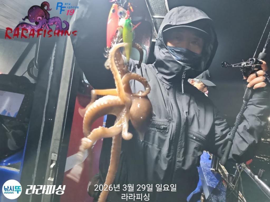 낚시뚜,낙지,속천항(진해),라라피싱,낚시뚜5