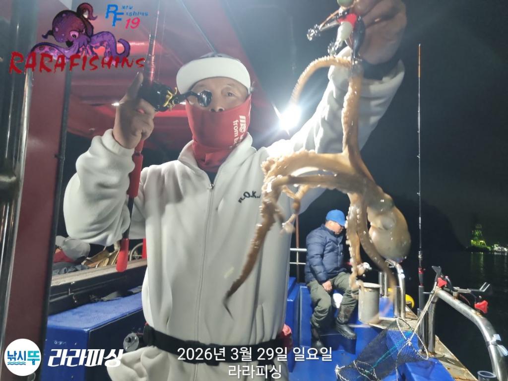 낚시뚜,낙지,속천항(진해),라라피싱,낚시뚜2