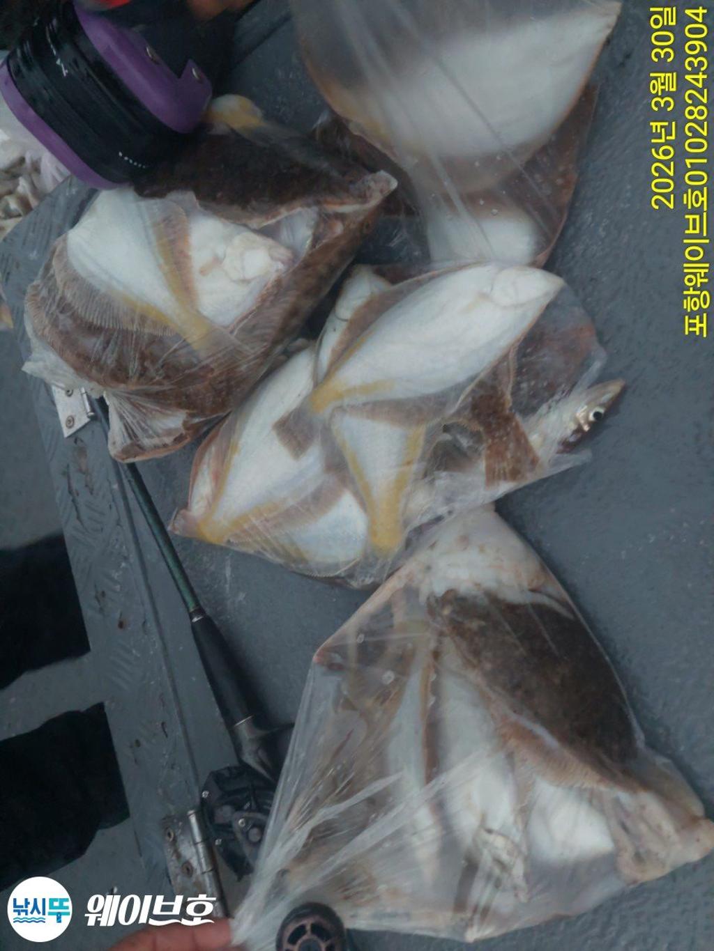 낚시뚜,도다리,가자미,구룡포항,뉴웨이브호,낚시뚜16