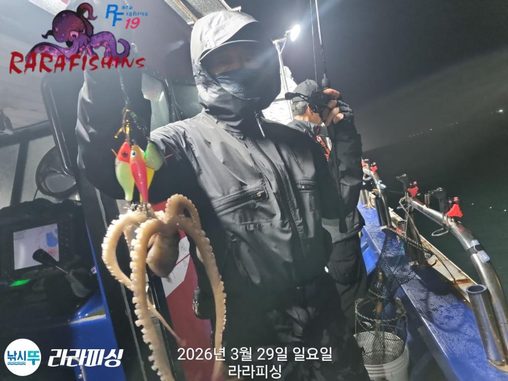 낚시뚜,낙지,돌문어,속천항(진해),라라피싱,낚시뚜6