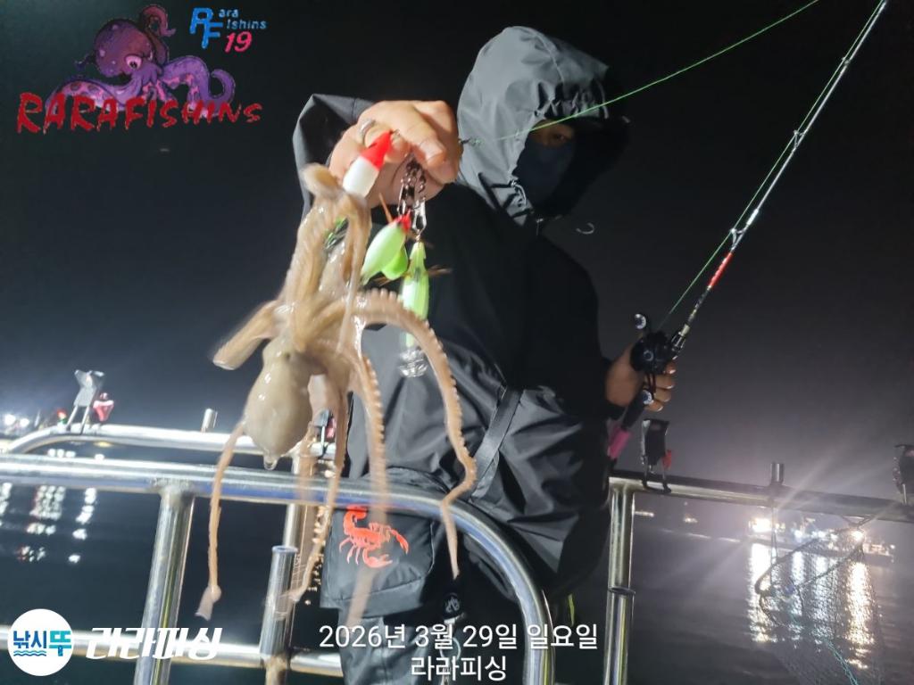 낚시뚜,낙지,돌문어,속천항(진해),라라피싱,낚시뚜5