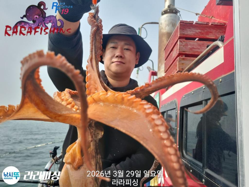 낚시뚜,낙지,돌문어,속천항(진해),라라피싱,낚시뚜22