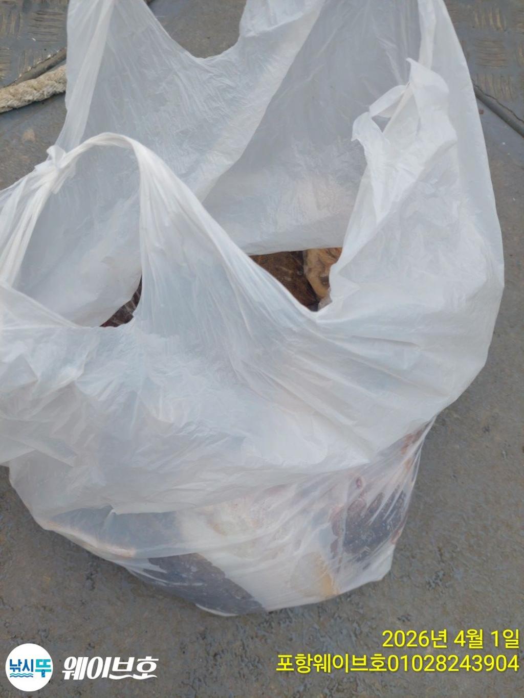 낚시뚜,도다리,가자미,구룡포항,뉴웨이브호,낚시뚜20