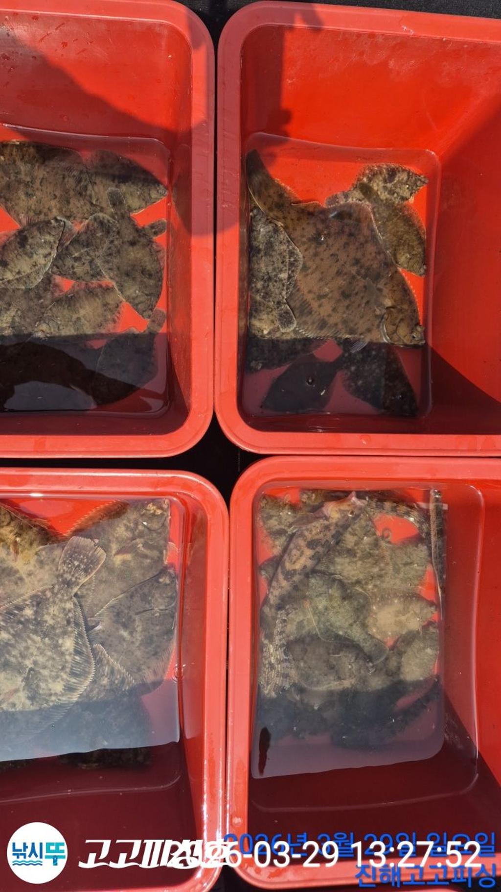 낚시뚜,,속천항(진해),고고피싱호,낚시뚜24