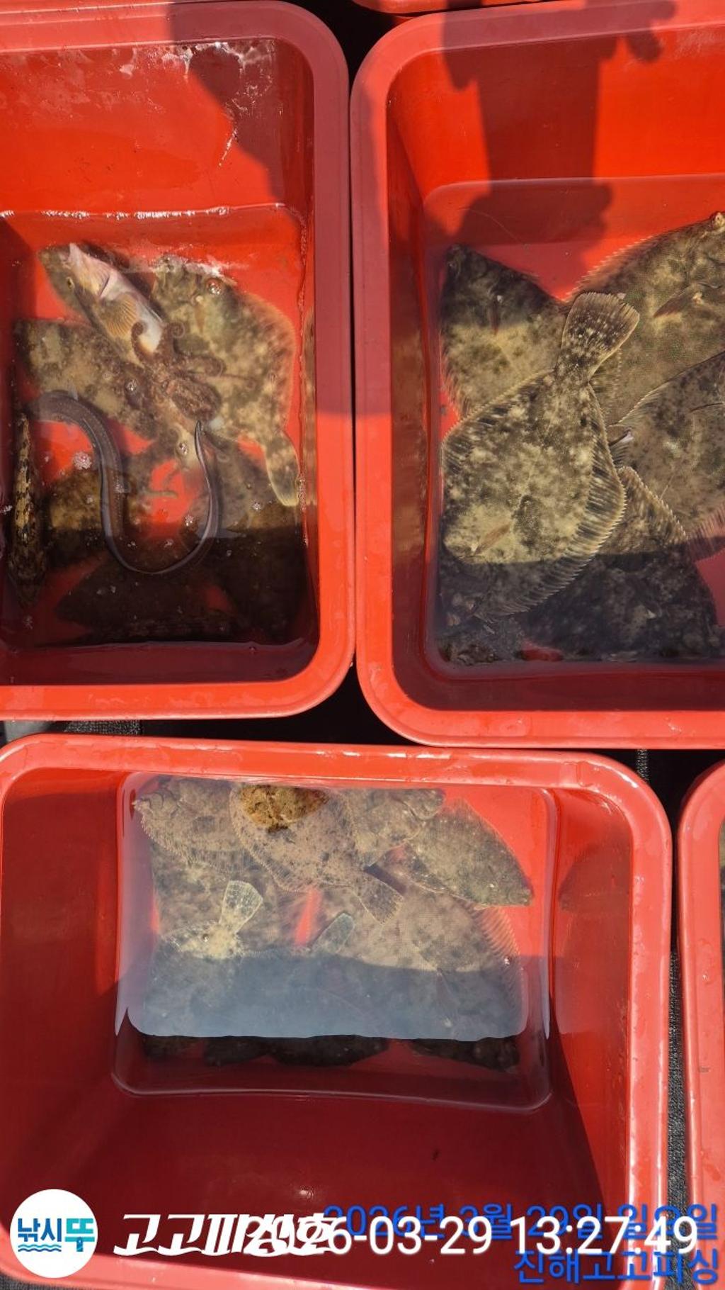 낚시뚜,,속천항(진해),고고피싱호,낚시뚜22