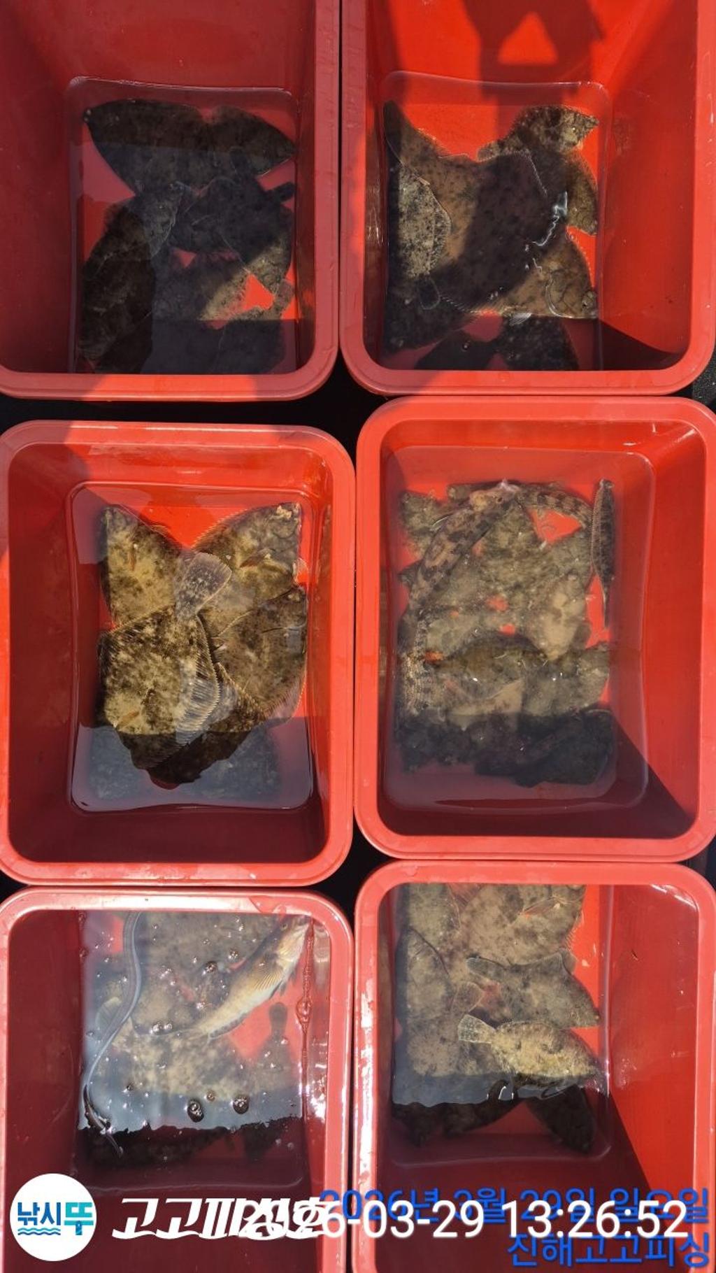 낚시뚜,,속천항(진해),고고피싱호,낚시뚜9