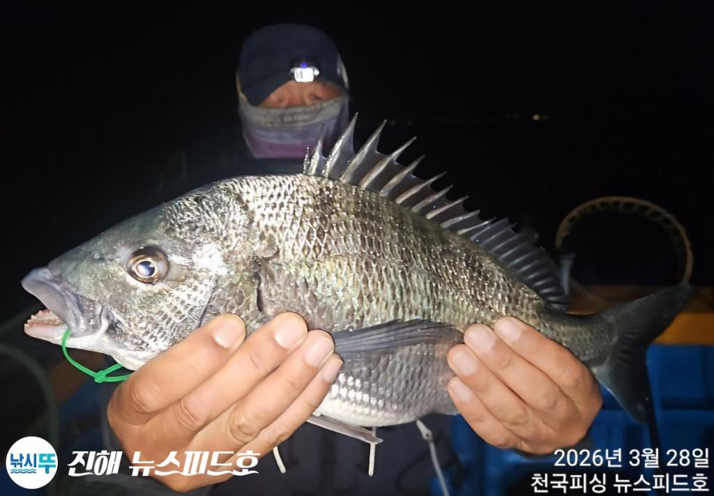 낚시뚜,,진해행암항,진해 뉴스피드호,낚시뚜8