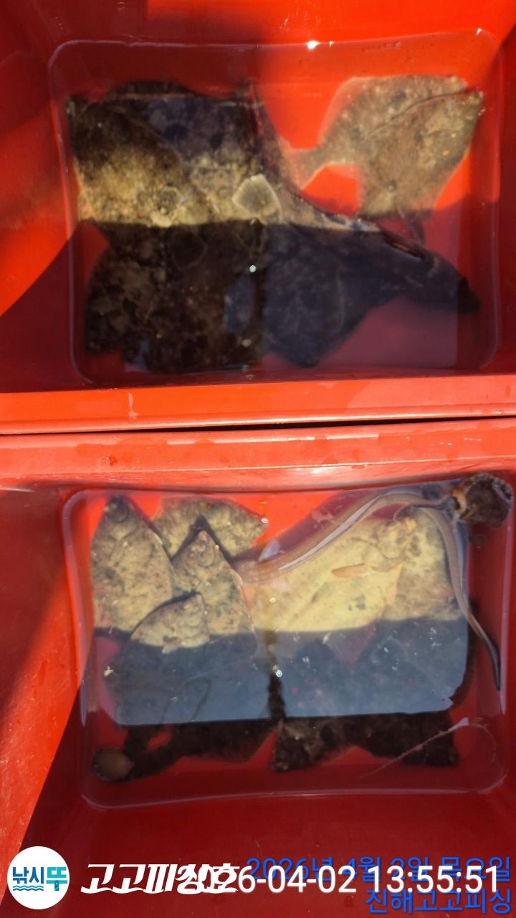 낚시뚜,도다리,속천항(진해),고고피싱호,낚시뚜15