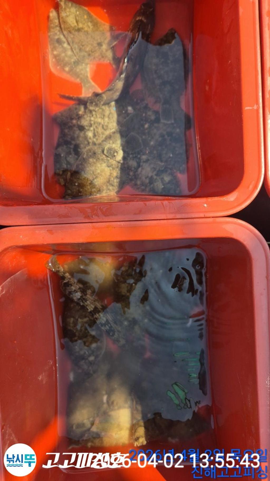 낚시뚜,도다리,속천항(진해),고고피싱호,낚시뚜12