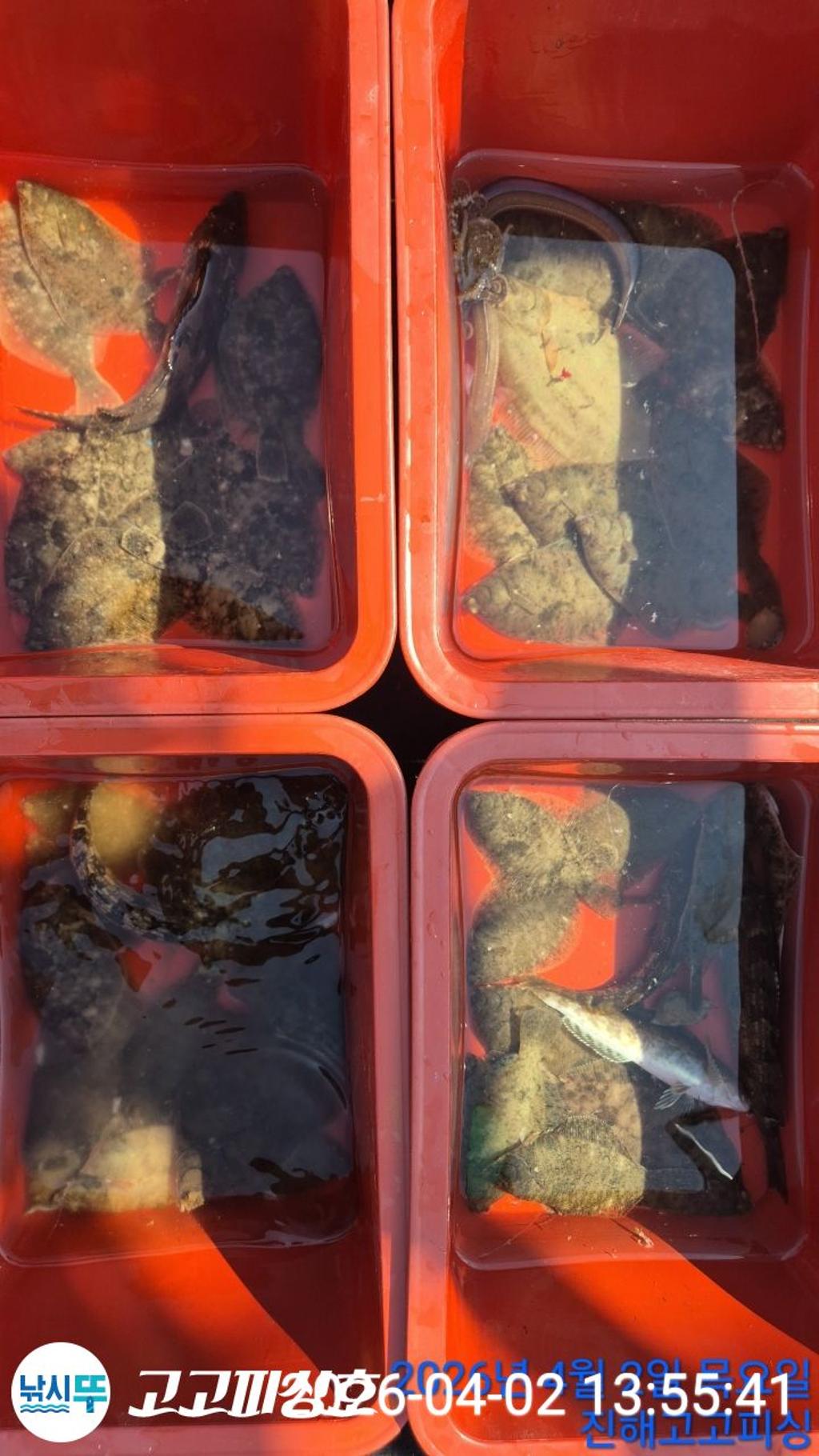 낚시뚜,도다리,속천항(진해),고고피싱호,낚시뚜11