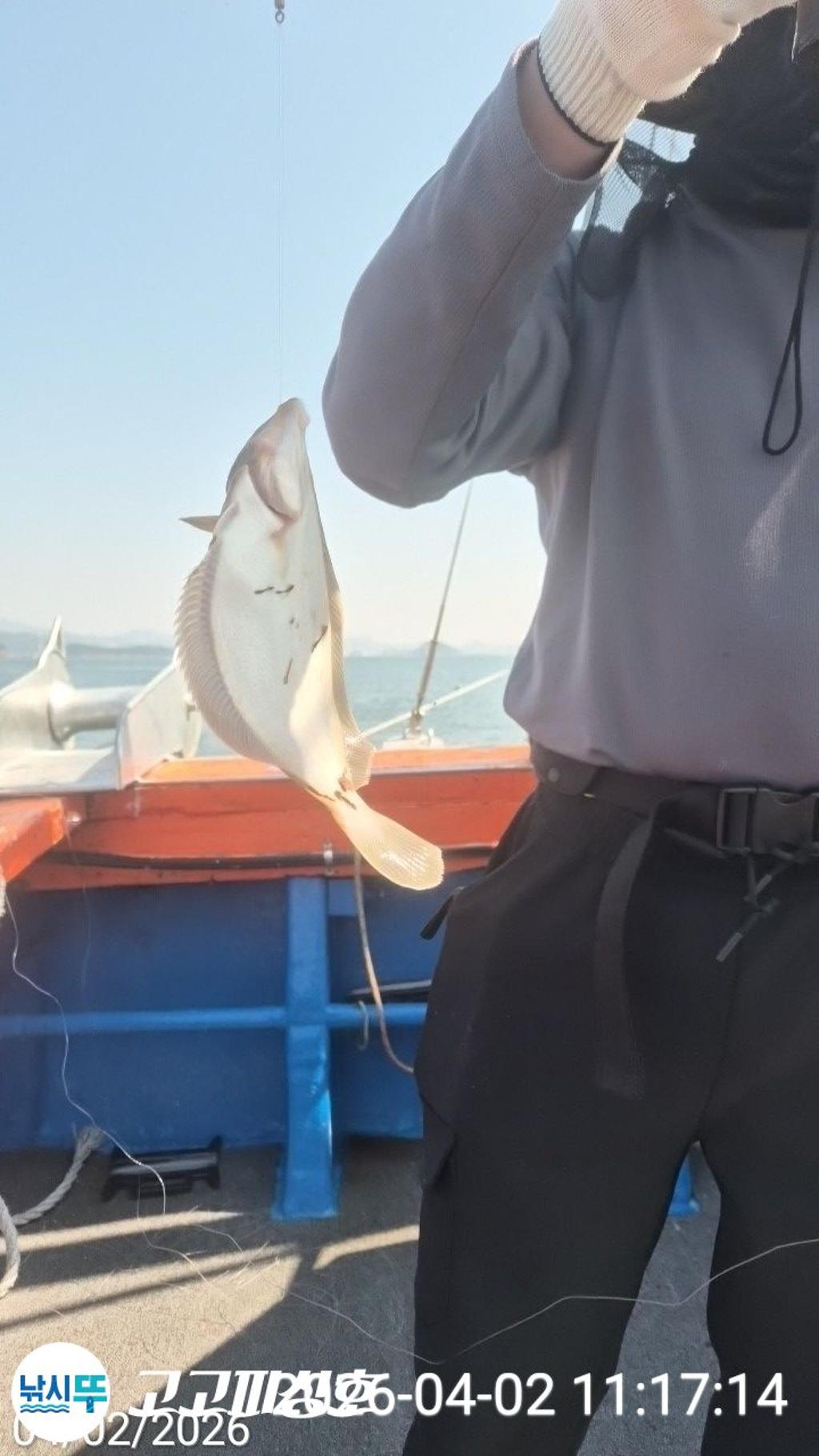 낚시뚜,도다리,속천항(진해),고고피싱호,낚시뚜0