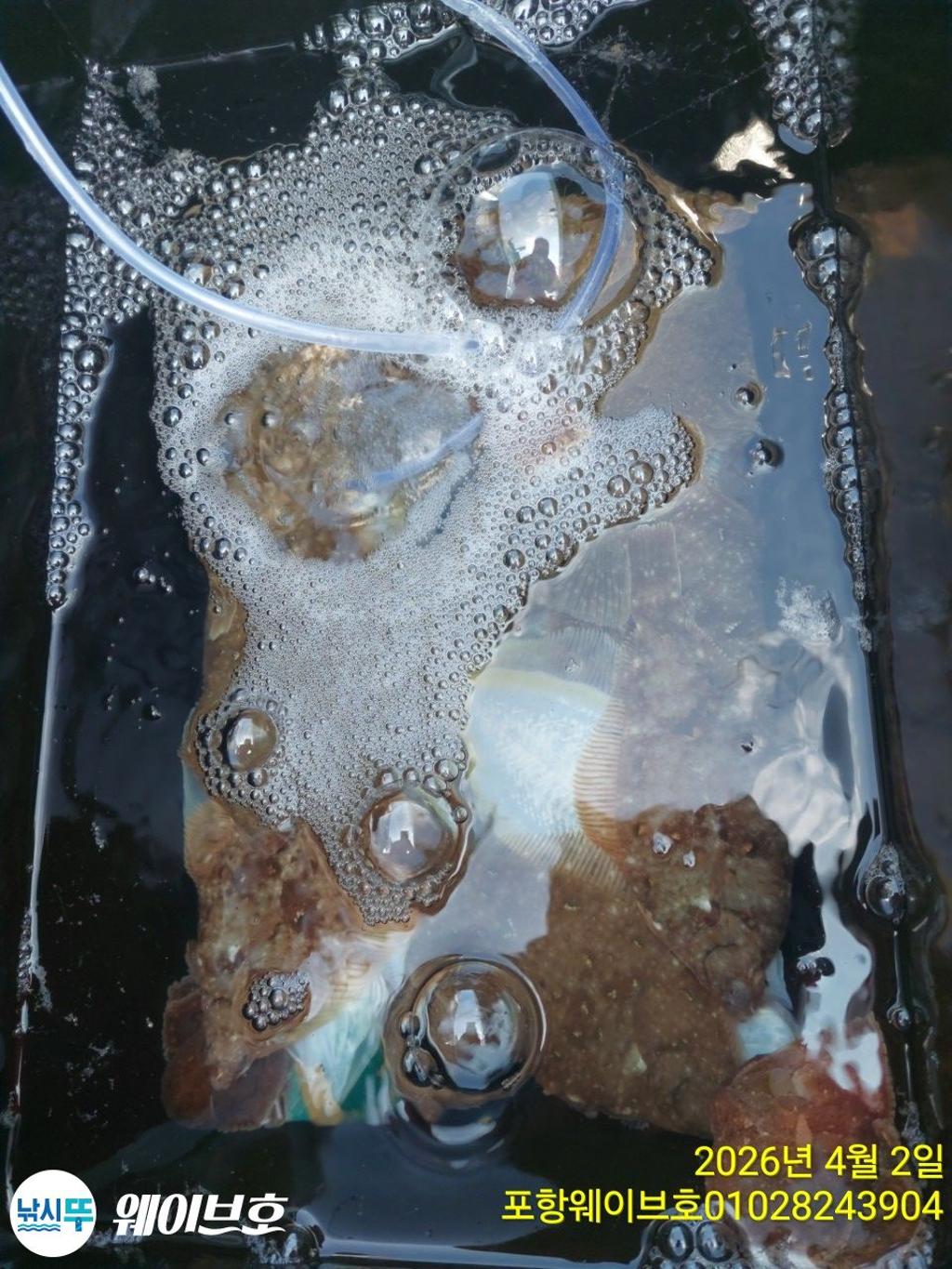 낚시뚜,도다리,가자미,구룡포항,뉴웨이브호,낚시뚜12