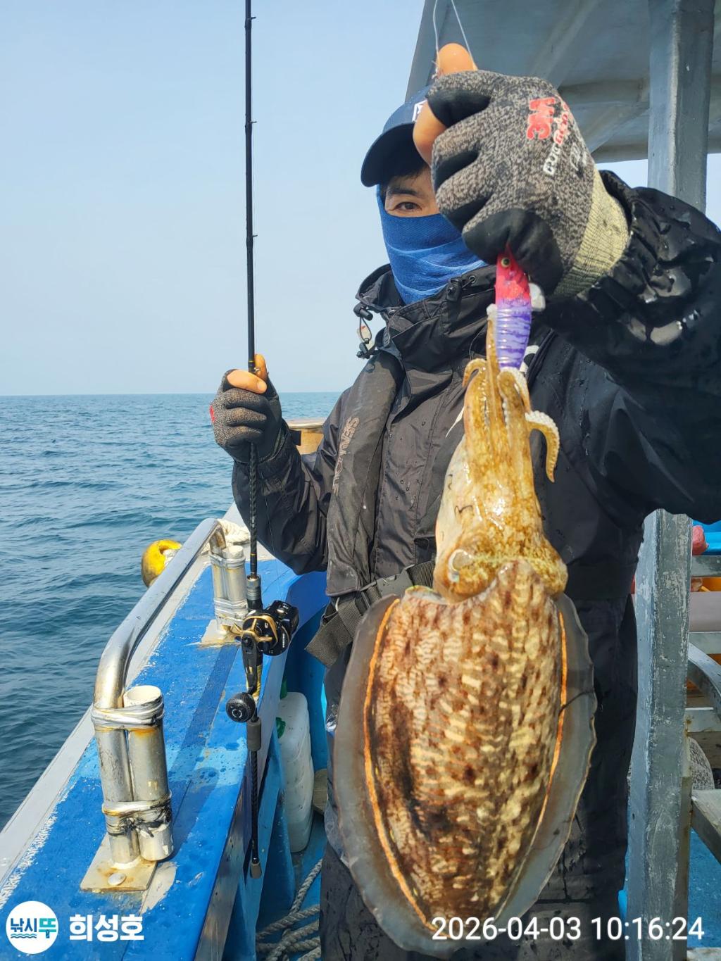 낚시뚜,갑오징어,모슬포항,희성호,낚시뚜1