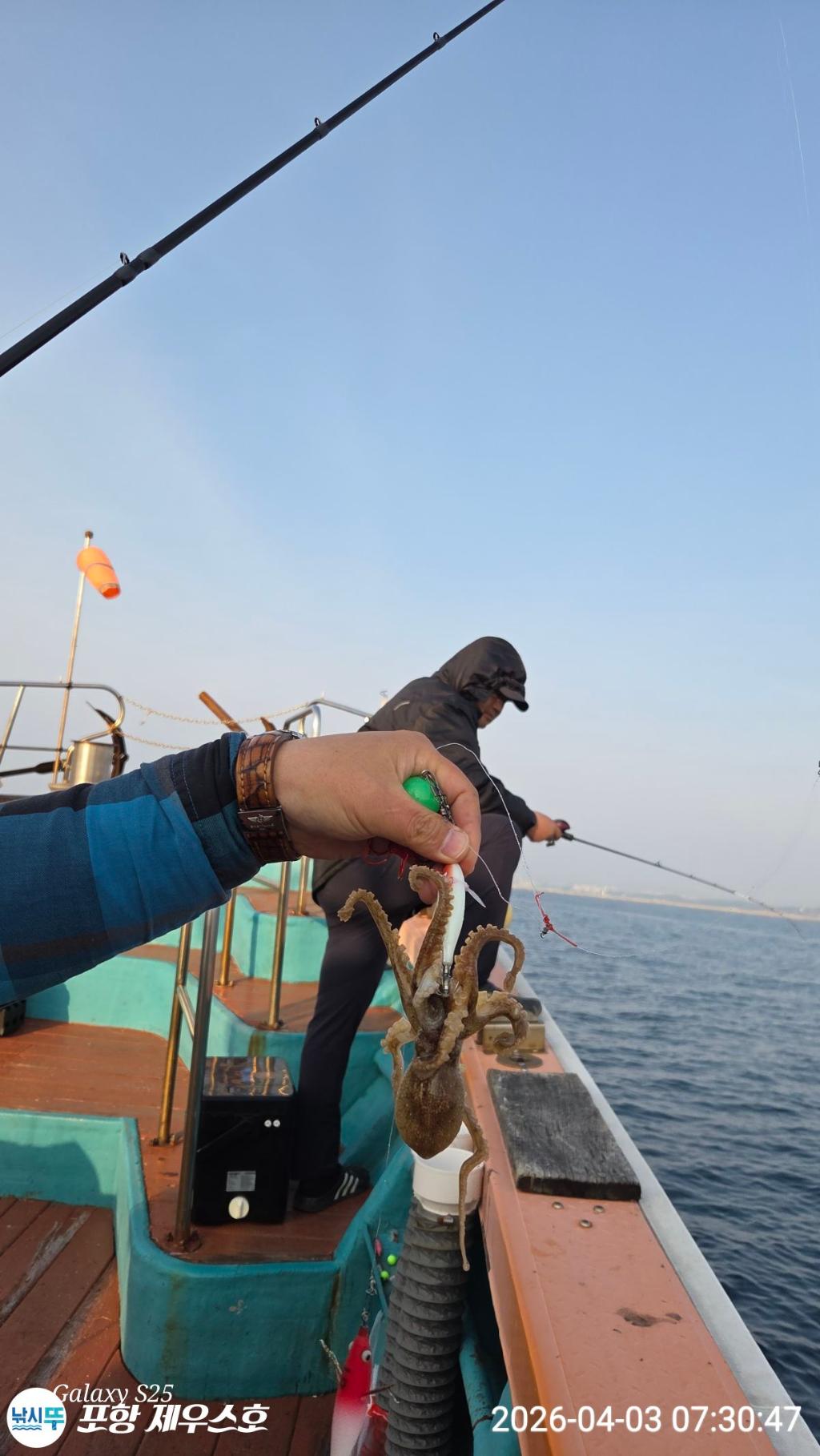 낚시뚜,쭈꾸미,영일만항,포항 제우스호,낚시뚜21