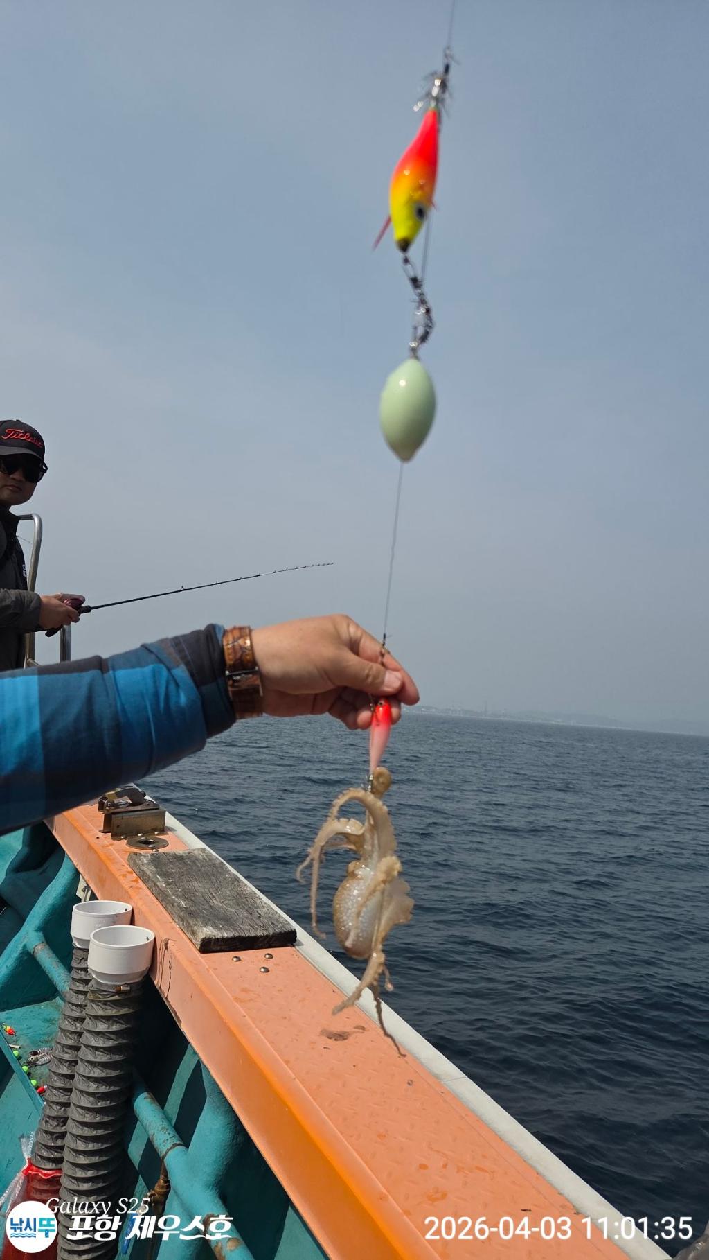 낚시뚜,쭈꾸미,영일만항,포항 제우스호,낚시뚜19