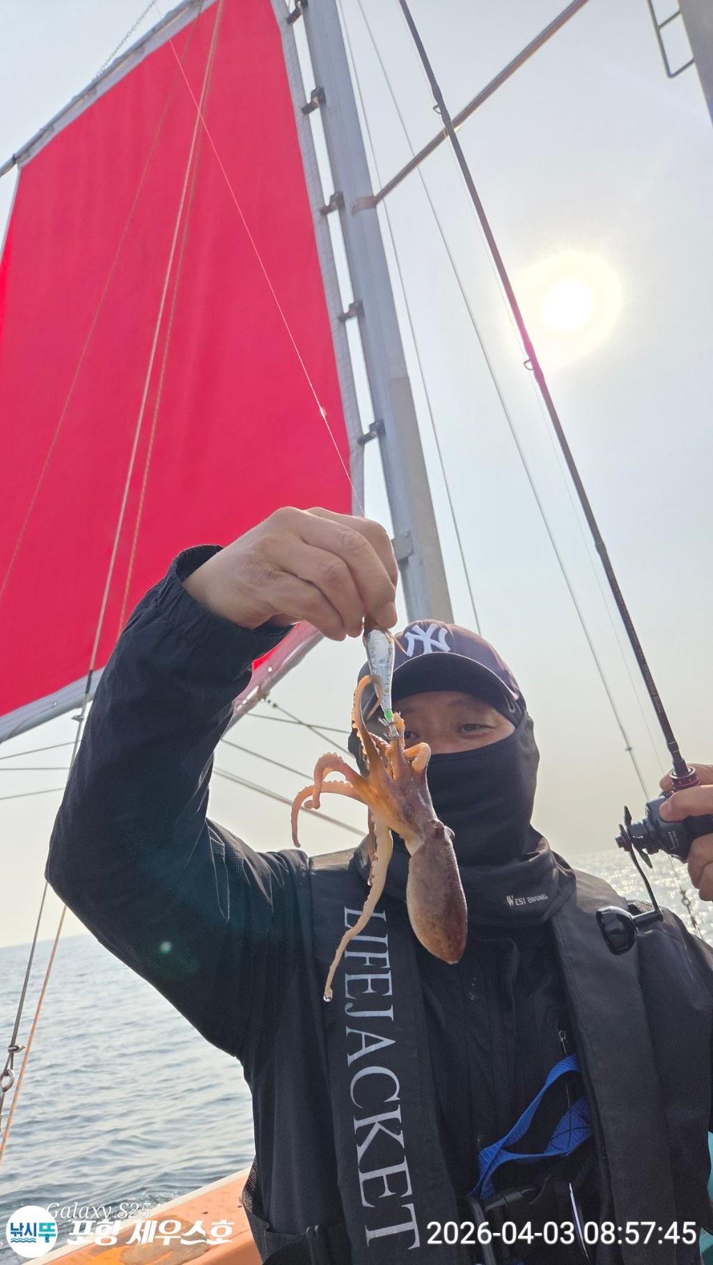 낚시뚜,쭈꾸미,영일만항,포항 제우스호,낚시뚜16