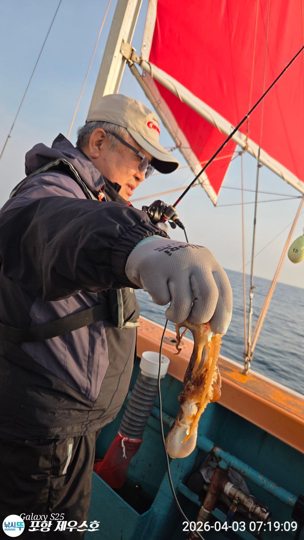 낚시뚜,쭈꾸미,영일만항,포항 제우스호,낚시뚜15