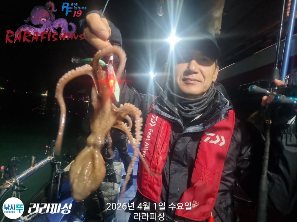 낚시뚜,낙지,돌문어,속천항(진해),라라피싱,낚시뚜6