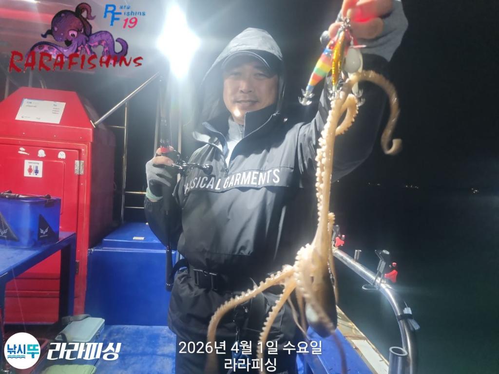 낚시뚜,낙지,돌문어,속천항(진해),라라피싱,낚시뚜3