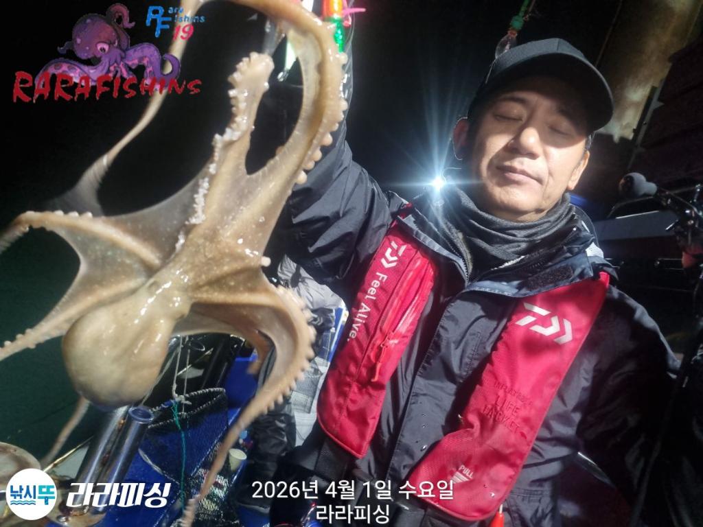낚시뚜,낙지,돌문어,속천항(진해),라라피싱,낚시뚜2