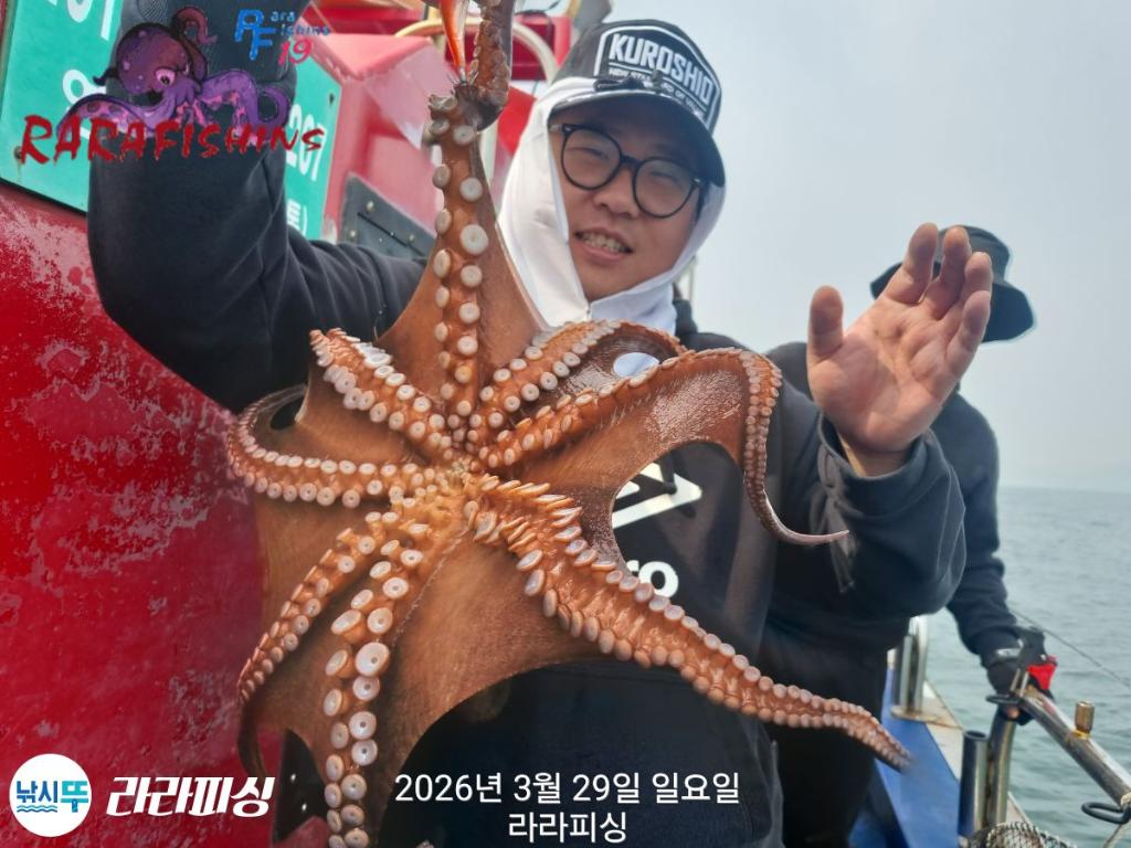 낚시뚜,낙지,돌문어,속천항(진해),라라피싱,낚시뚜13