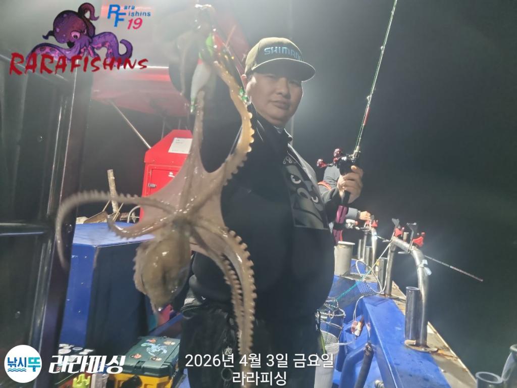 낚시뚜,낙지,돌문어,속천항(진해),라라피싱,낚시뚜7