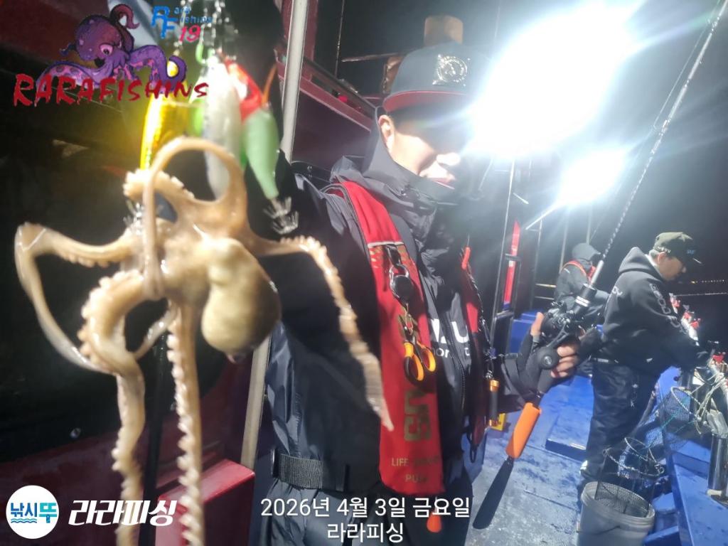 낚시뚜,낙지,돌문어,속천항(진해),라라피싱,낚시뚜6