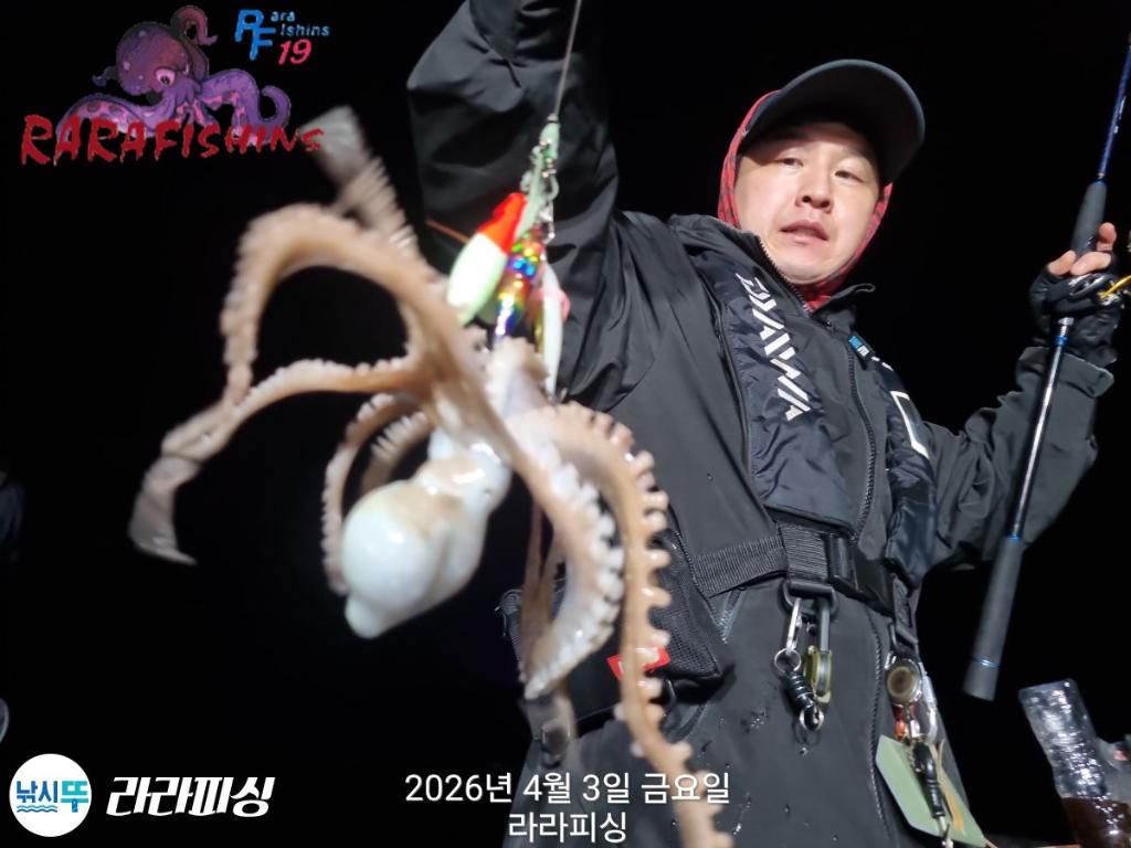 낚시뚜,낙지,속천항(진해),라라피싱,낚시뚜8