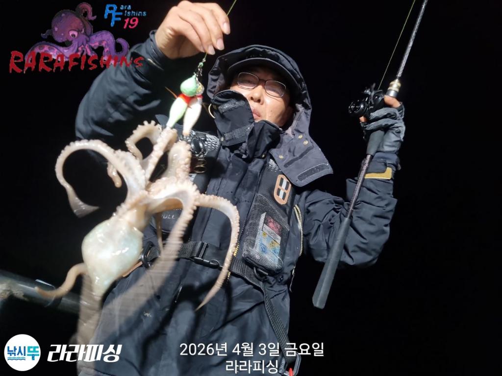 낚시뚜,낙지,속천항(진해),라라피싱,낚시뚜6