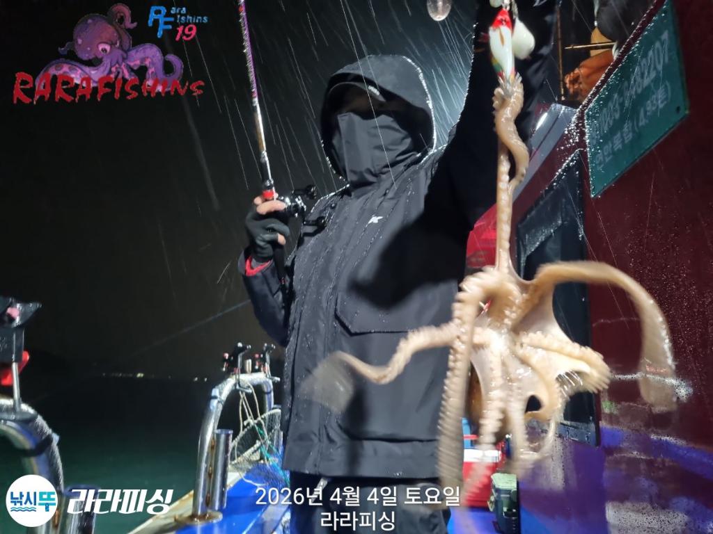 낚시뚜,낙지,속천항(진해),라라피싱,낚시뚜4
