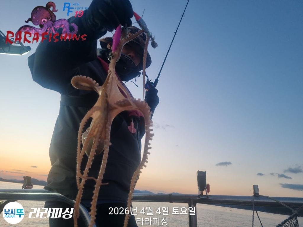 낚시뚜,낙지,속천항(진해),라라피싱,낚시뚜11