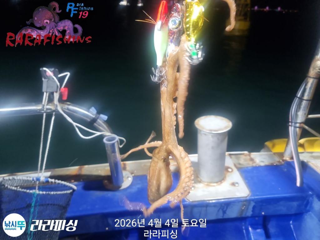 낚시뚜,낙지,속천항(진해),라라피싱,낚시뚜5