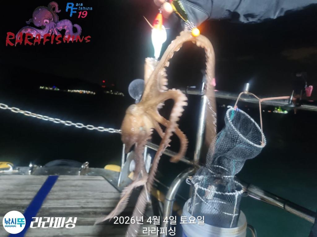 낚시뚜,낙지,속천항(진해),라라피싱,낚시뚜2