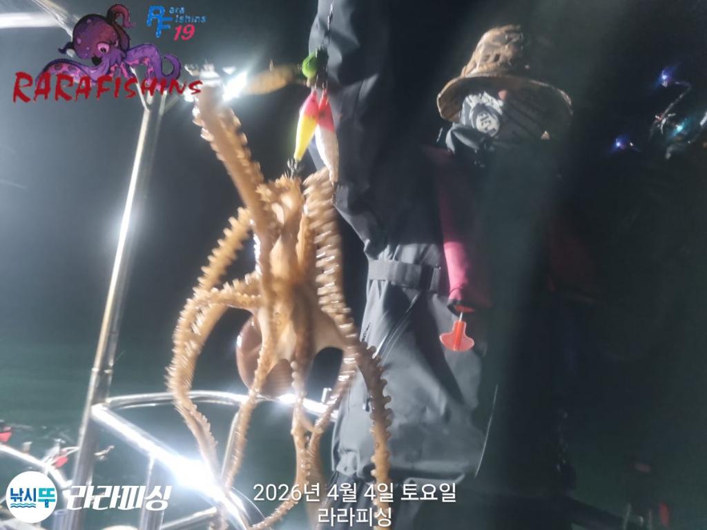 낚시뚜,낙지,속천항(진해),라라피싱,낚시뚜0