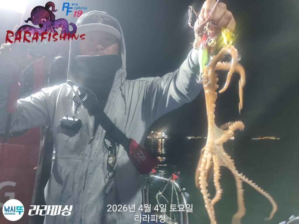 낚시뚜,낙지,속천항(진해),라라피싱,낚시뚜7