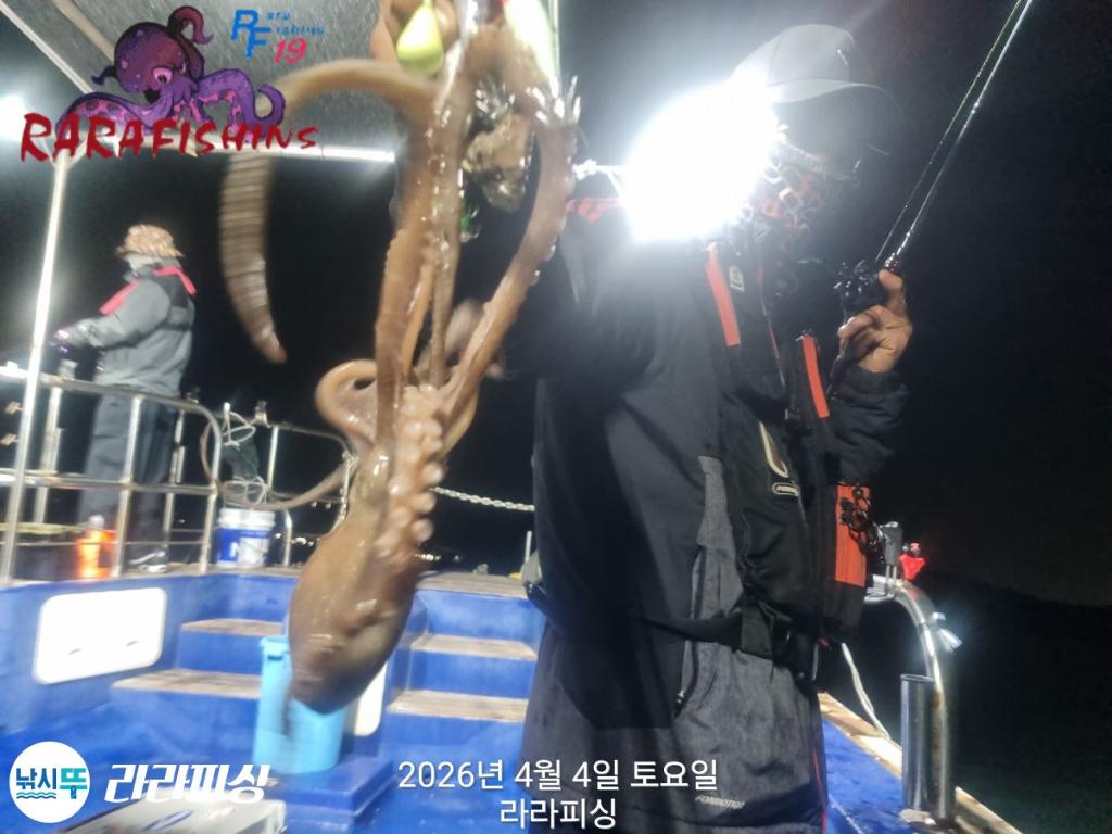 낚시뚜,낙지,속천항(진해),라라피싱,낚시뚜5