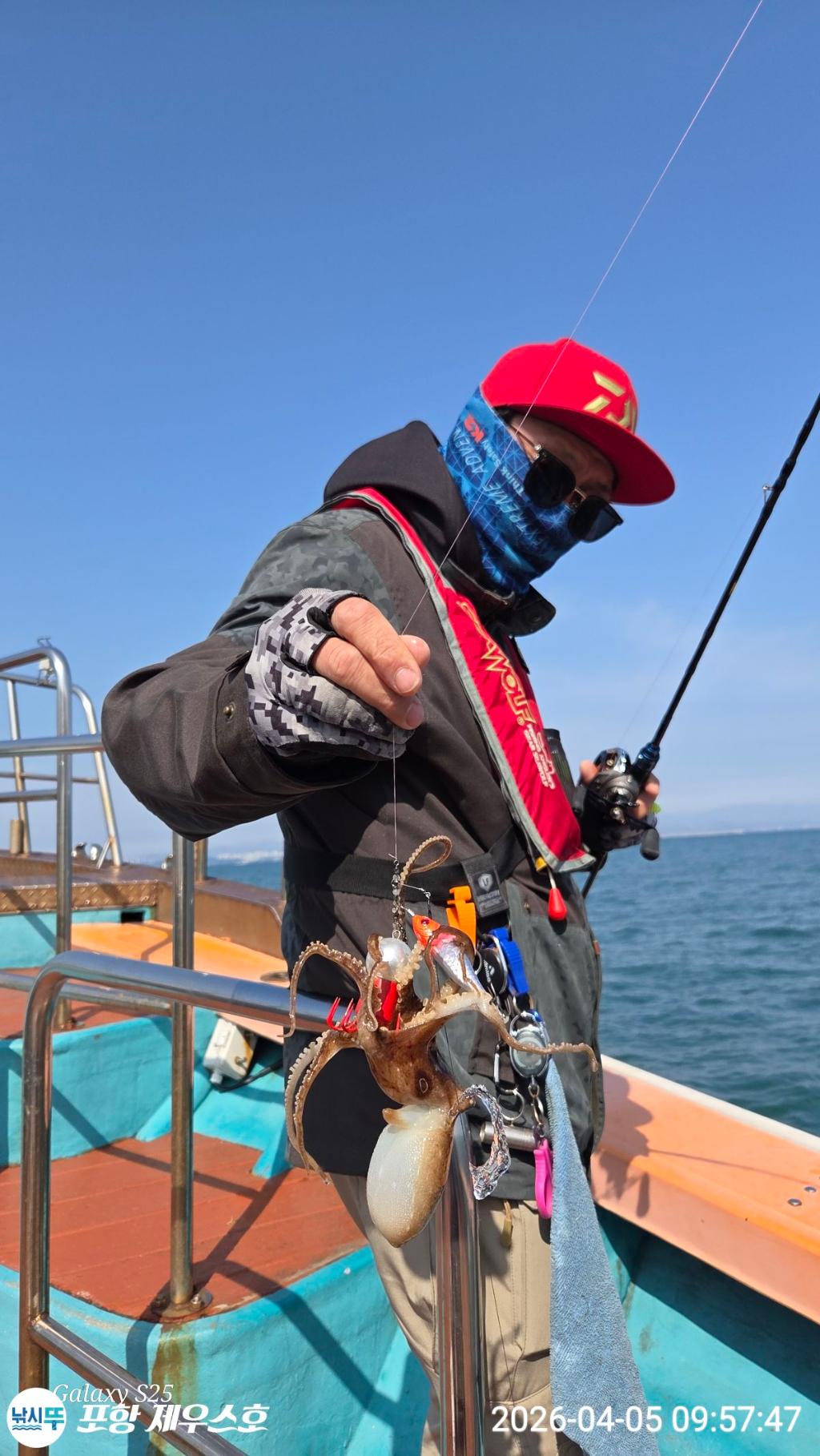 낚시뚜,쭈꾸미,영일만항,포항 제우스호,낚시뚜26