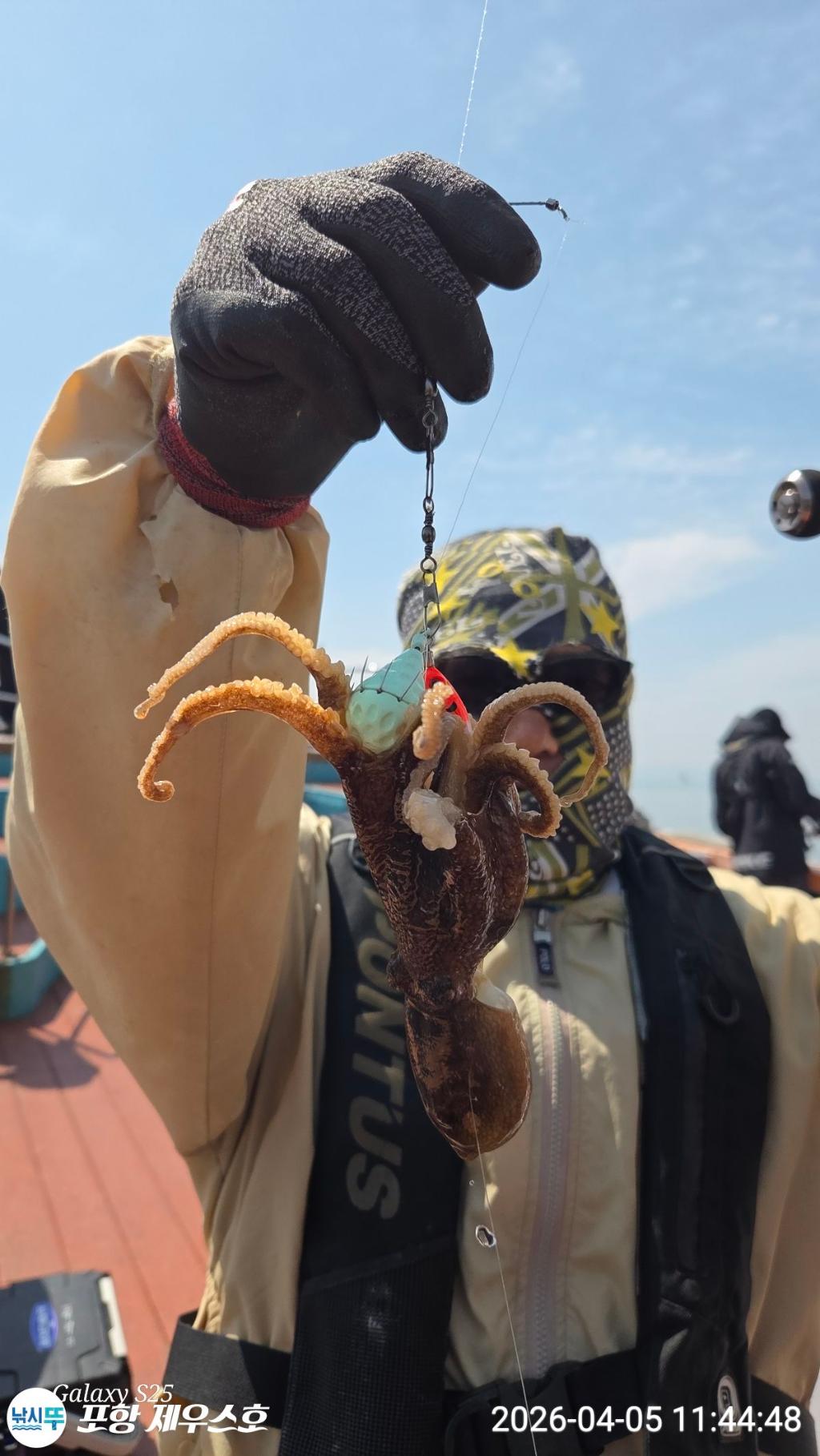 낚시뚜,쭈꾸미,영일만항,포항 제우스호,낚시뚜21